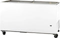 Congélateur, 670 L, 2055 x 629 x 892 mm, industriel, professionnel, verre, MADE IN EUROPE, MBH