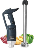 Blender, 500 W, professionnel, mixeur électrique, 500 Mm, Mixeur Plongeant Professionnel Zayuzo 500 W À Vitesse Variable