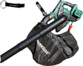 Aspirateur, 40 V, HEADNMORE PLSA 40 40-Li, appareil électrique d'aspiration