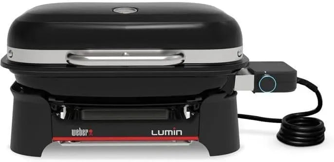 thermomètre, Barbecue, 43 × 32 cm, portable, gril, fonte, noir