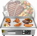 Plaque de cuisson, 55 × 35 cm, 1600 W, 3000 W, 110 V, gril, professionnel, acier inoxydable, pour Barbecue