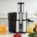Extracteur de jus, professionnel, restaurant, acier inoxydable