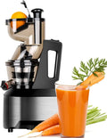 Extracteur de jus, professionnel, acier inoxydable